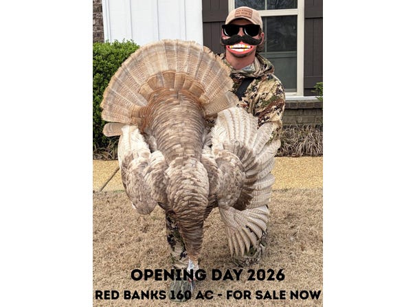 MOORE Rd, Red Banks, MS 38635
