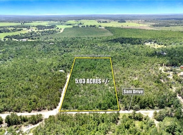 0 Sam Drive, Mauk, GA 31058