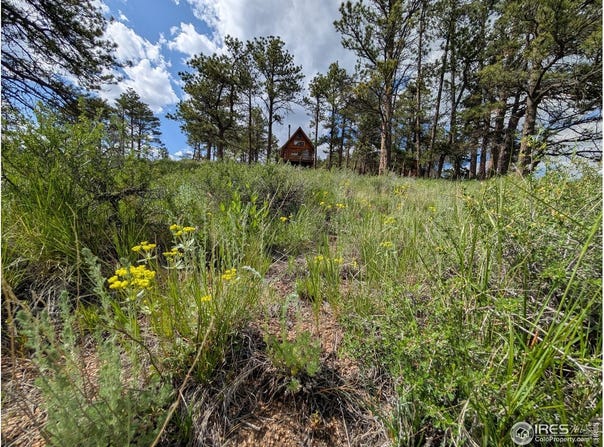 2898 Red Ashby Rd, Livermore, CO 80536