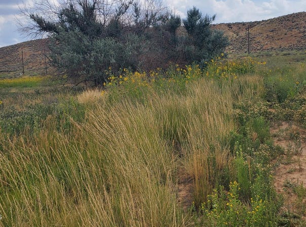 L2 B7 ROAD 1413, La Plata, NM 87418