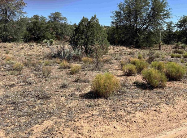 1X Chaparral Trail, NM 88061