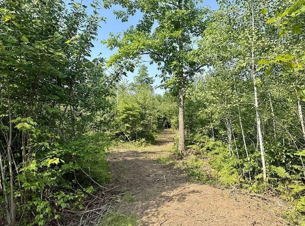 6 County Road T, Danbury, WI 54830