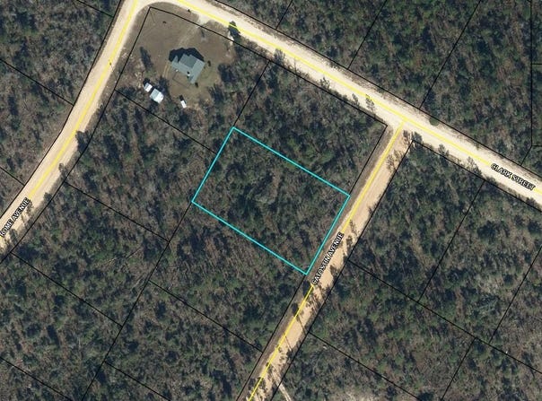 Catostin Avenue lot: 2, Alford, FL 32420