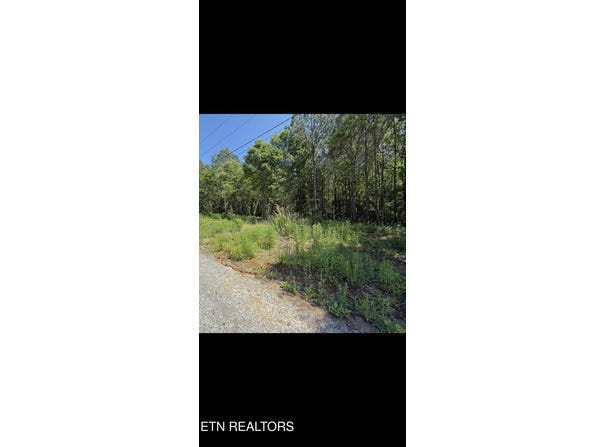 Robbies Lane, Decatur, TN 37322