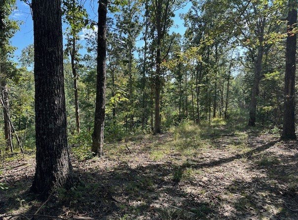 01 Firetower Road, Camden, TN 38320