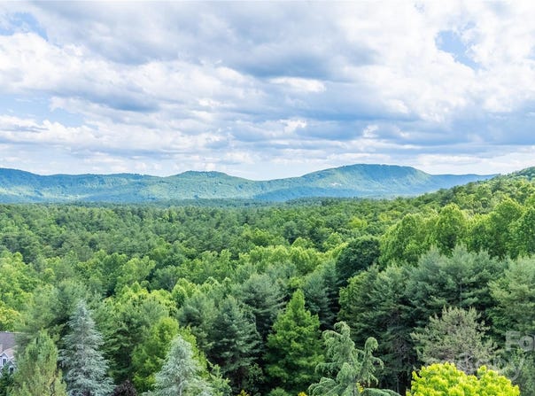 South Ridge Drive unit: 61/62, Hendersonville, NC 28739