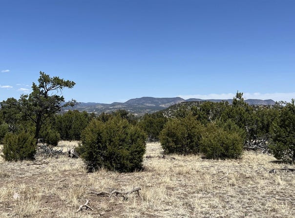 Lot 66 Wagon Trail Road, Datil, NM 87821