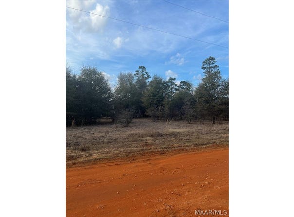 Deer Loop lot: 49, Camden, AL 36726