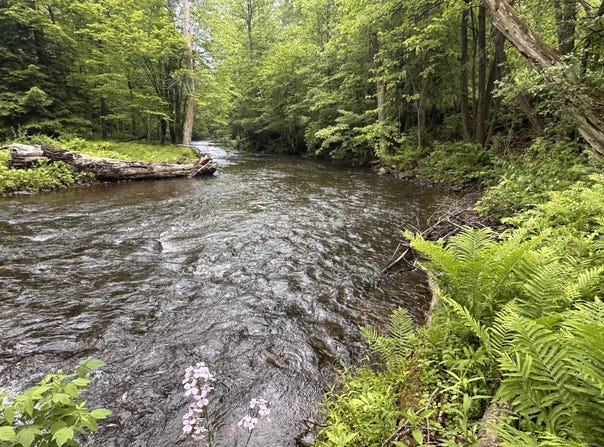 0 Military Turnpike, Plattsburgh, NY 12901