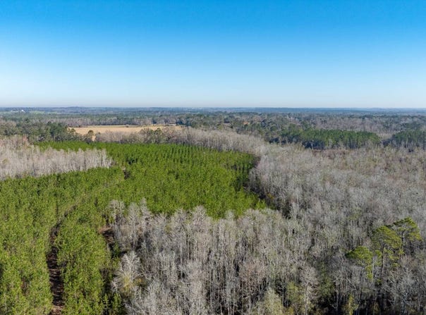 0 James Noble Road, Greenville, FL 32331