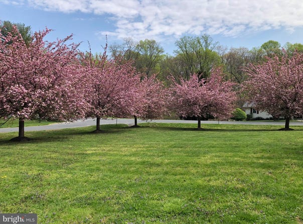17724 TREE LAWN DRIVE, ASHTON, MD 20861