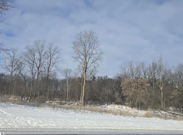 S Pine River Road, Ithaca, MI 48847