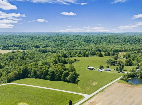 485 Veach Rd, Reynolds Station, KY 42368