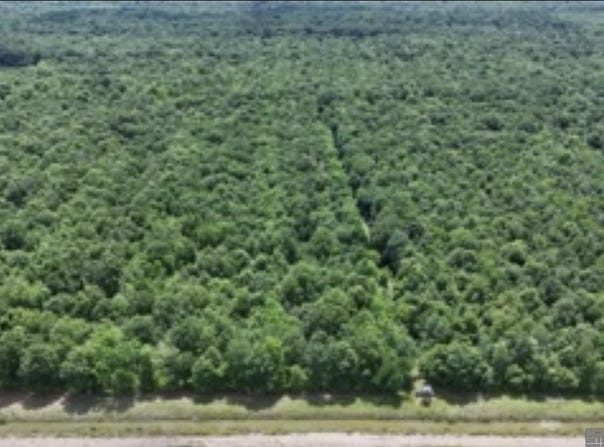 Greenwood Plantation Rd, Thibodaux, LA 70301