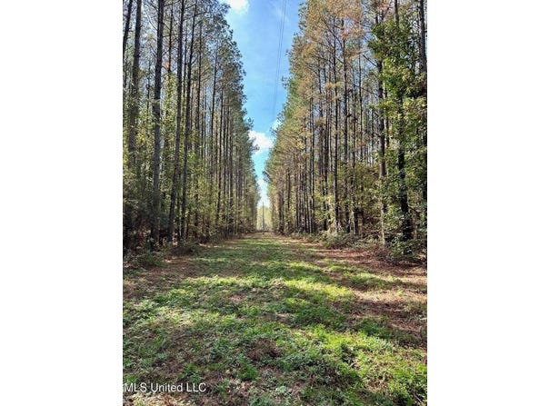 Lot A Swamp Rd., Carthage, MS 39051