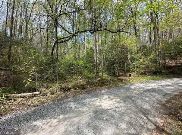 Lot 20 Big Ben, Ellijay, GA 30540