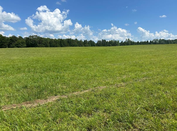 18 Mccabe Road, Spring City, TN 37381