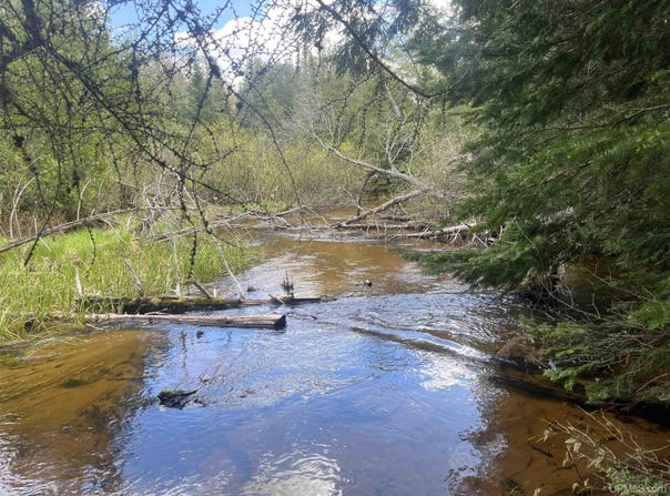 120 Ross Creek County Road 450, Seney, MI 49883