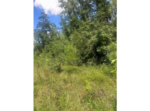 Dale, Jonesboro, LA 71251