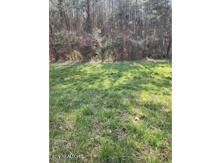 Little Elk Creek Rd, Pioneer, TN 37847