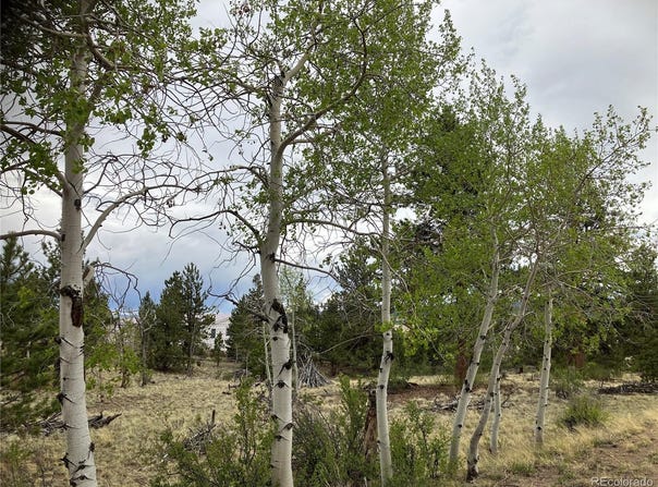 256 Bandana Road, Hartsel, CO 80449