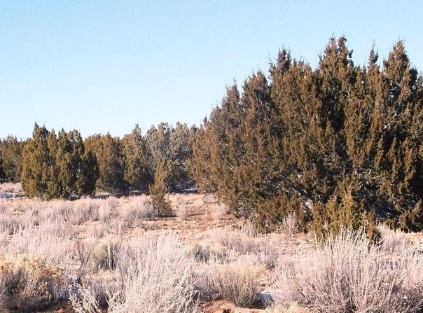 Tbd CR 7411, St. Johns, AZ 85936