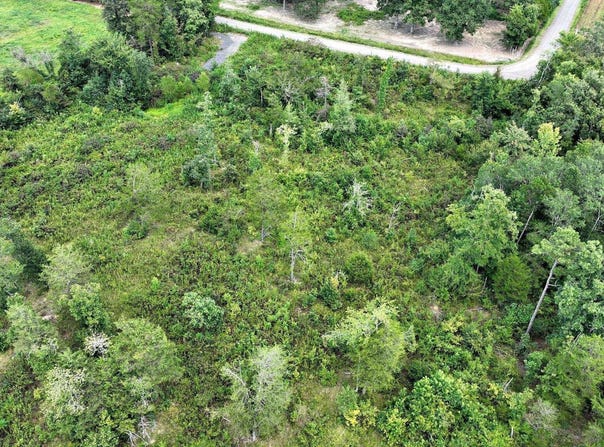 Polk Road 676, Mena, AR 71953
