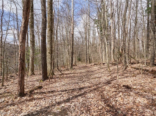 V/L Hermitage Road, Chardon, OH 44077