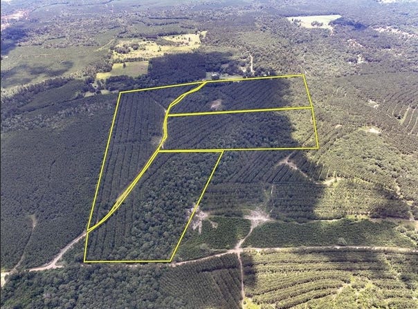 00 County Road 1325, Woodville, TX 75979