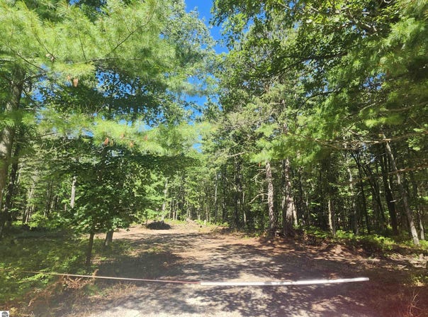 E Lincoln Street, East Tawas, MI 48763
