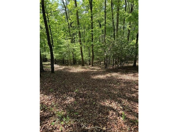 Mill Trace Court, Cleveland, GA 30528