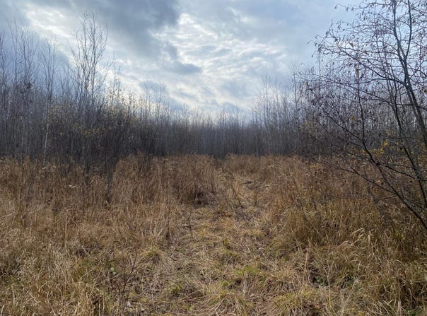 NEAR TIMBER RD, Catawba, WI 54515