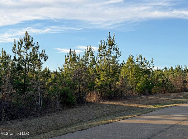 Airport Road, Carthage, MS 39051