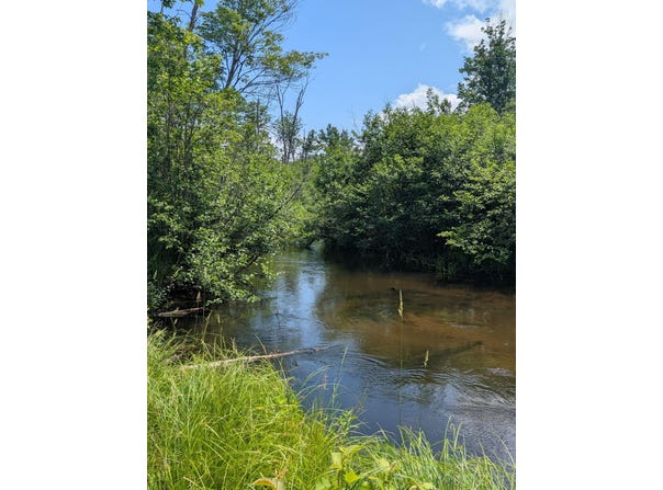 4792 M-37, Baldwin, MI 49304