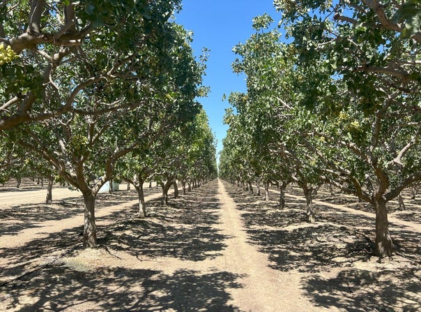28000 W. Jayne Ave, Coalinga, CA 93210