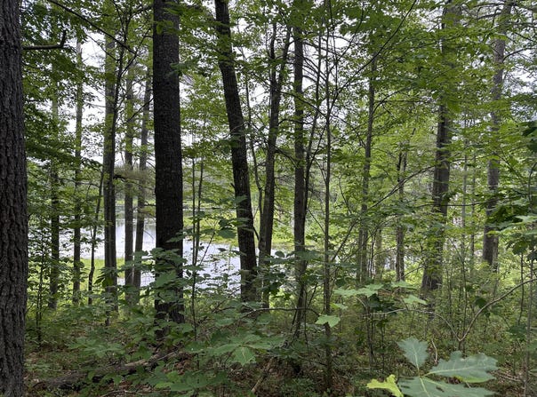 M 7 L 5-5 Blandings Lane, Shapleigh, ME 04076