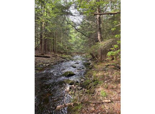 4 Bog Brook Loop, West Paris, ME 04289
