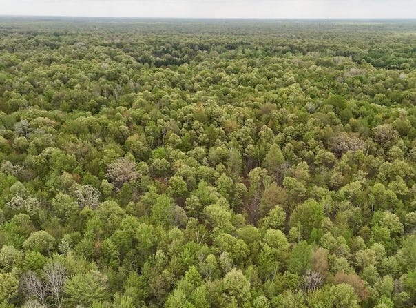 N Magruder Road, Coleman, MI 48618