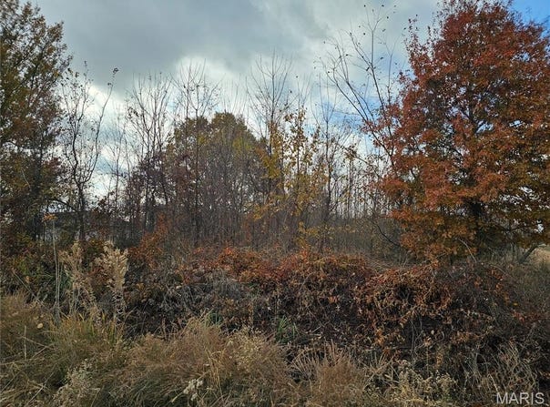 620 County Road, Broseley, MO 63932