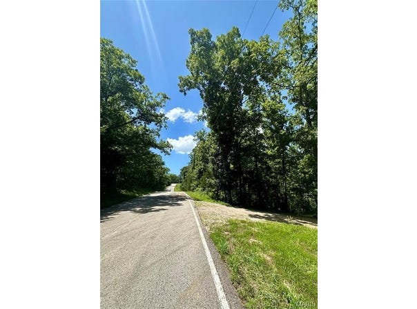 2518 N Bend Loop, Unincorporated, MO 63084
