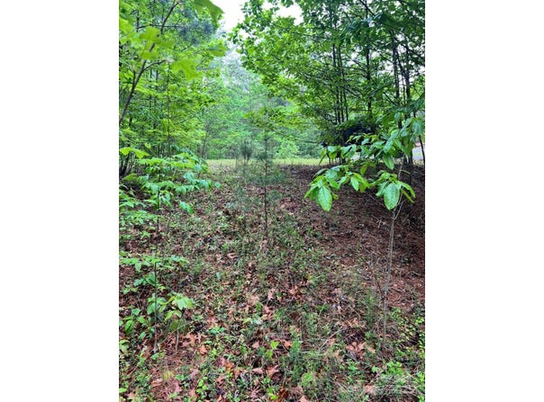Conroy Court, Collettsville, NC 28611