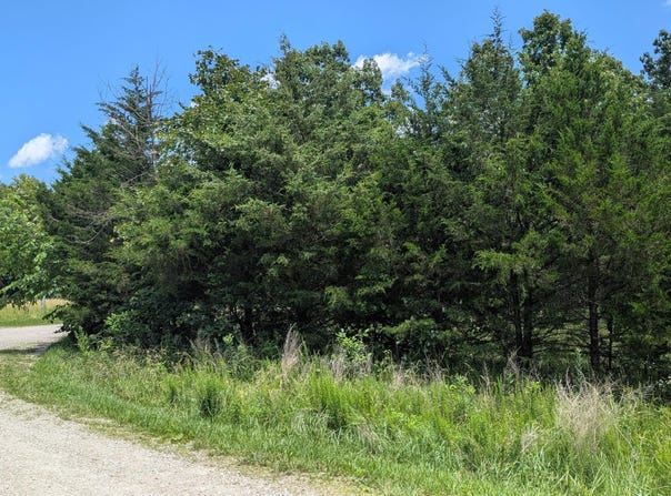 Gardner Hill Lane, Fordland, MO 65652