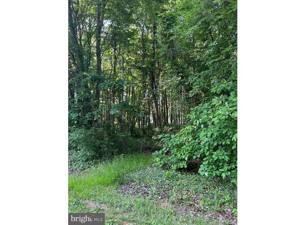 103 CHESAPEAKE ESTATES DRIVE, STEVENSVILLE, MD 21666