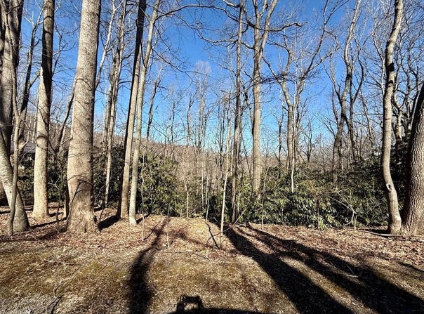 Tbd Crooked White Oak Trail, Hillsville, VA 24343