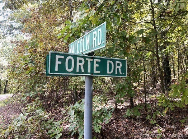 Forte, Edwards, MO 65326