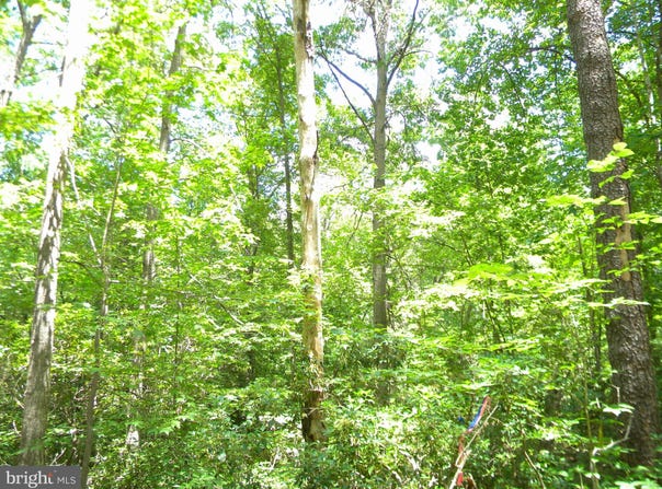Lot 10A THUNDER RD, KING GEORGE, VA 22485