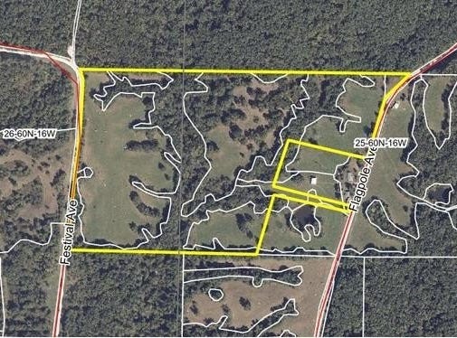 E Festival, Elmer, MO 63538