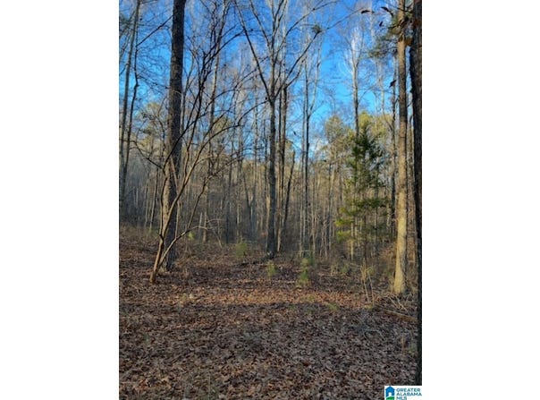 0 MOORE ROAD, ODENVILLE, AL 35120