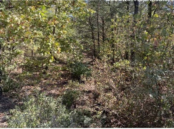 0 Spring Lake Rd, Dardanelle, AR 71295