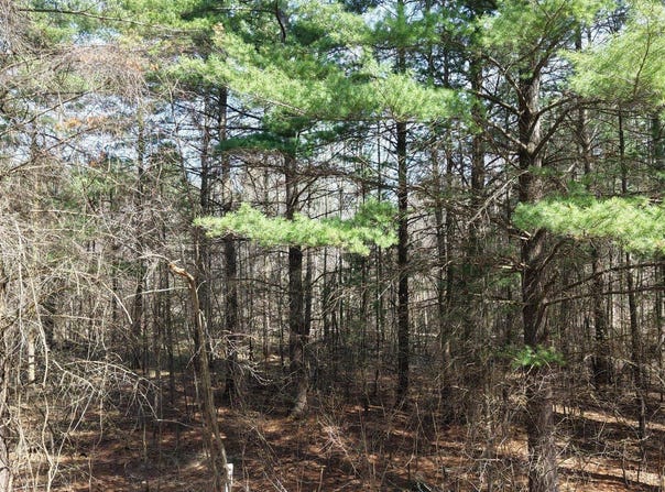 Salisbury Drive lot: 108, Gladwin, MI 48624